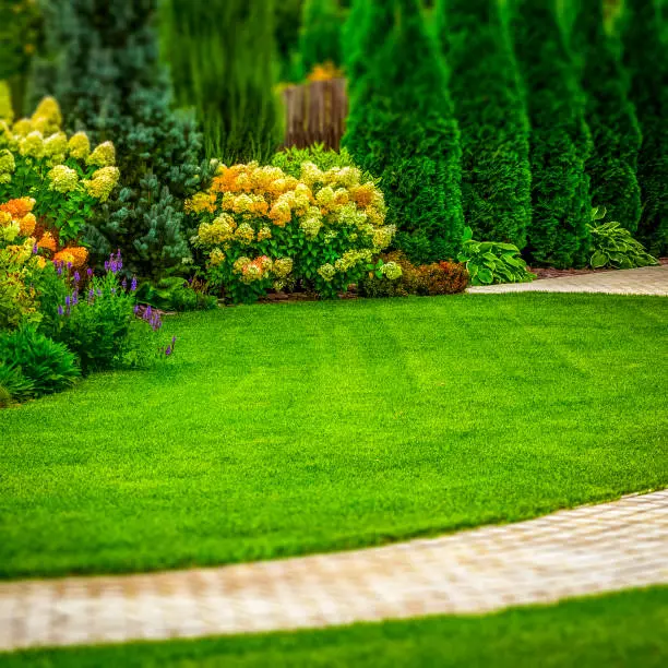 Moderner Ziergarten mit Kiesbeet